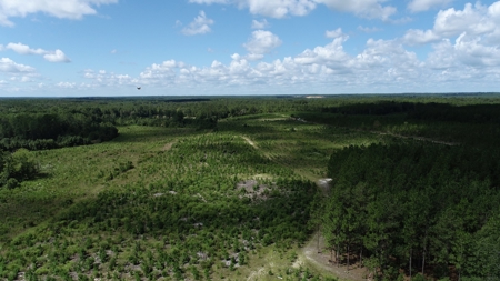 Land For Sale in Camden, SC Kershaw County - image 29