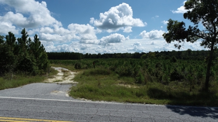 Land For Sale in Camden, SC Kershaw County - image 2