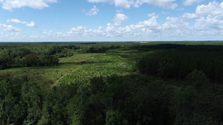 Land For Sale in Camden, SC Kershaw County - image 28