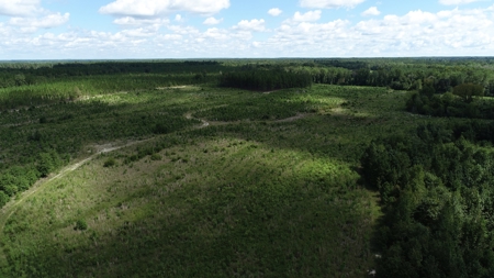 Land For Sale in Camden, SC Kershaw County - image 34
