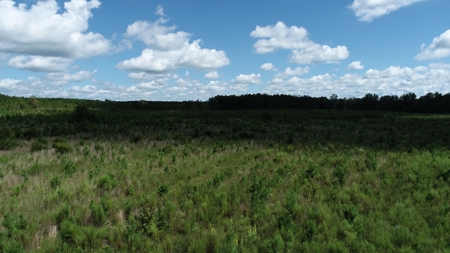 Land For Sale in Camden, SC Kershaw County - image 37