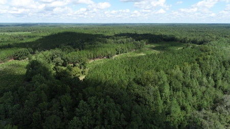 Land For Sale in Camden, SC Kershaw County - image 24