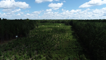 Land For Sale in Camden, SC Kershaw County - image 27