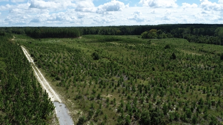 Land For Sale in Camden, SC Kershaw County - image 1