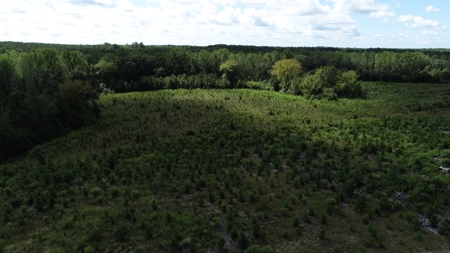 Land For Sale in Camden, SC Kershaw County - image 18