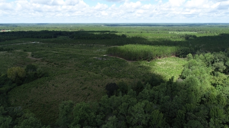Land For Sale in Camden, SC Kershaw County - image 23