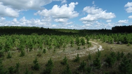 Land For Sale in Camden, SC Kershaw County - image 41