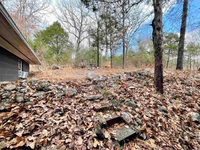 Home in Cherokee Village, AR for sale - image 43