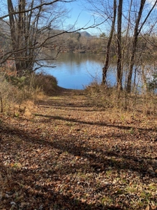 15 +/- Acres of Riverfront Property on the Cumberland River - image 1