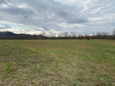 15 +/- Acres of Riverfront Property on the Cumberland River - image 2