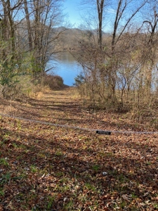 15 +/- Acres of Riverfront Property on the Cumberland River - image 6