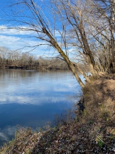 15 +/- Acres of Riverfront Property on the Cumberland River - image 7
