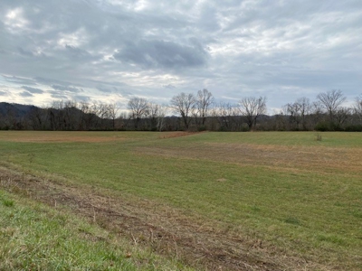 15 +/- Acres of Riverfront Property on the Cumberland River - image 4