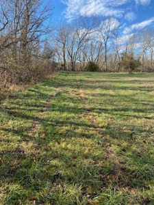 15 +/- Acres of Riverfront Property on the Cumberland River - image 5