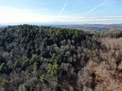 Recreational land with mountain views - image 10