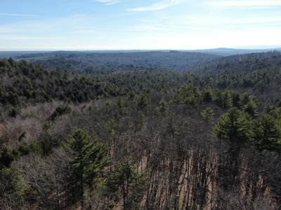 Recreational land with mountain views - image 6