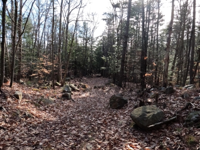 Recreational land with mountain views - image 17