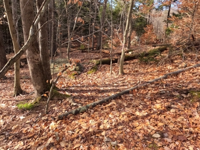Recreational land with mountain views - image 13
