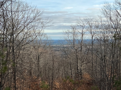 Recreational land with mountain views - image 19