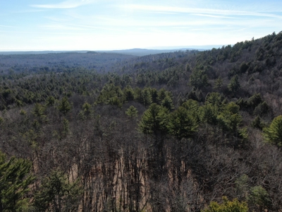 Recreational land with mountain views - image 5