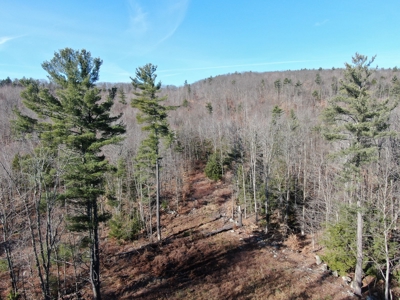 Recreational land with mountain views - image 2