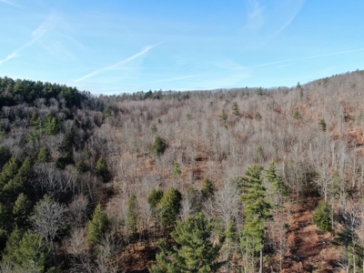 Recreational land with mountain views - image 4