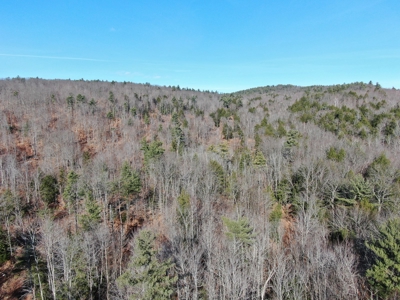 Recreational land with mountain views - image 3