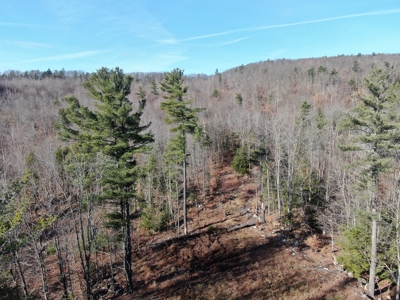 Recreational land with mountain views - image 12