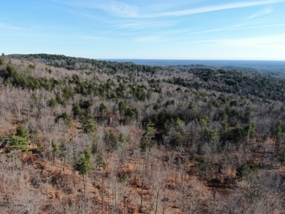 Recreational land with mountain views - image 7