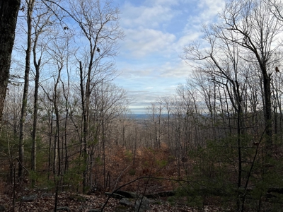 Recreational land with mountain views - image 18