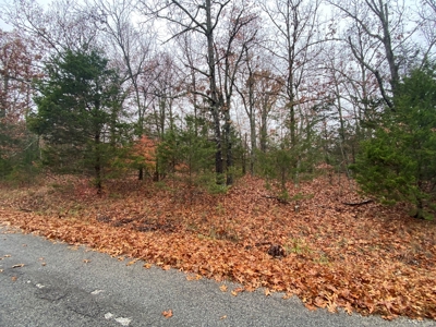 Land For Sale In Horseshoe Bend, Arkansas - image 1