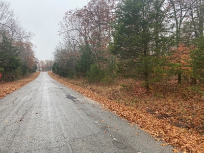 Land For Sale In Horseshoe Bend, Arkansas - image 3