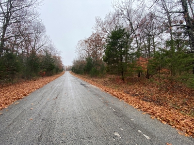 Land For Sale In Horseshoe Bend, Arkansas - image 4