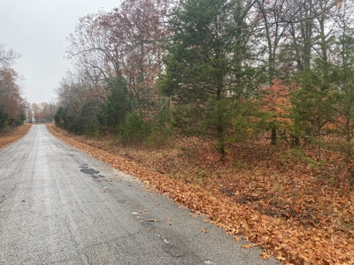 Land For Sale In Horseshoe Bend, Arkansas - image 2