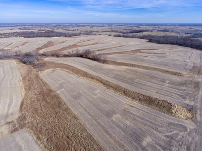 Missouri Farm For Sale With Exceptional Hunting 3.0% ROI !!! - image 10