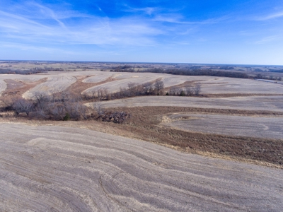Missouri Farm For Sale With Exceptional Hunting 3.0% ROI !!! - image 6