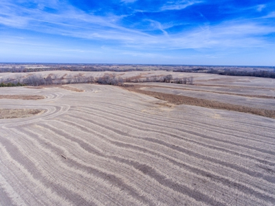 Missouri Farm For Sale With Exceptional Hunting 3.0% ROI !!! - image 4