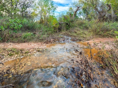 Hunting Land Cattle Ranch For Sale Bowie Montague County Tx - image 4