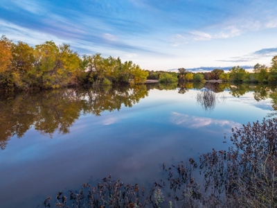 Hunting Land Cattle Ranch For Sale Bowie Montague County Tx - image 3