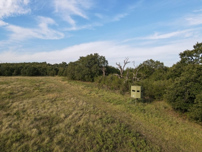 Hunting Land Cattle Ranch For Sale Bowie Montague County Tx - image 14