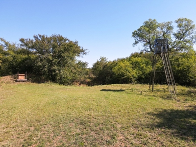 Hunting Land Cattle Ranch For Sale Bowie Montague County Tx - image 10