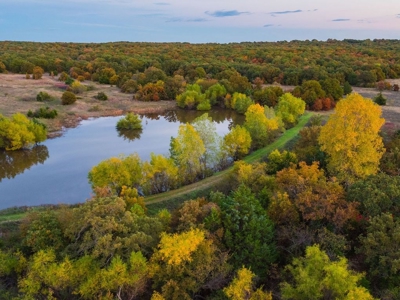 Hunting Land Cattle Ranch For Sale Bowie Montague County Tx - image 1