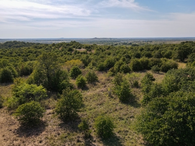 Hunting Land Cattle Ranch For Sale Bowie Montague County Tx - image 11