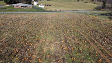 Building Lot Near the Town of Floyd VA for Sale! - image 1