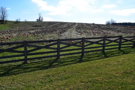 Building Lot Near the Town of Floyd VA for Sale! - image 2