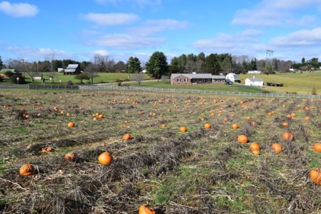 Building Site for Sale in Floyd VA! - image 1