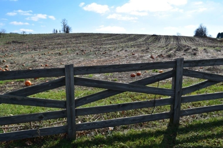 Building Site for Sale in Floyd VA! - image 6