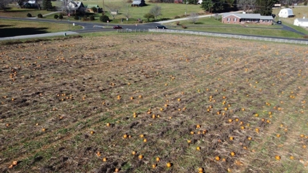 Building Site for Sale in Floyd VA! - image 2