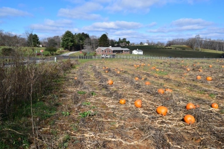 Building Site for Sale in Floyd VA! - image 9