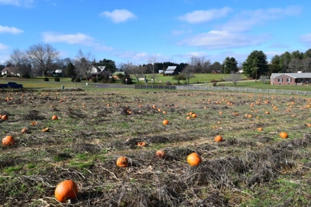 Building Site for Sale in Floyd VA! - image 11